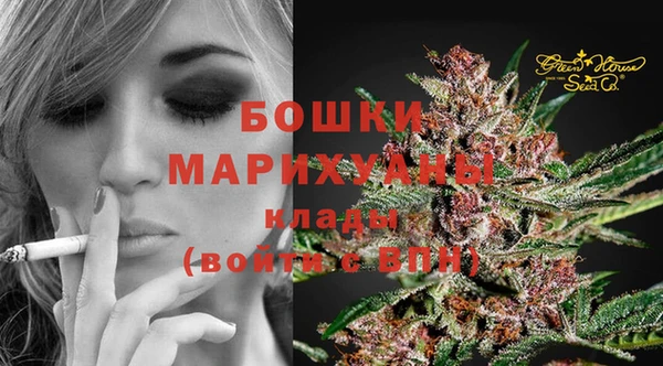 сатива Абдулино